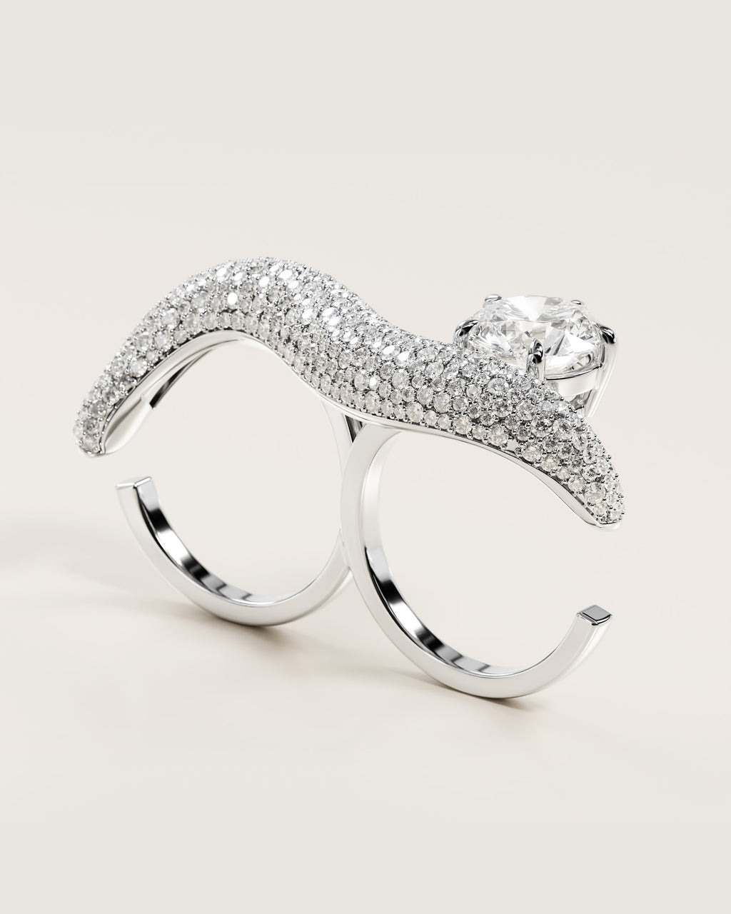 The Double Tidal Ring