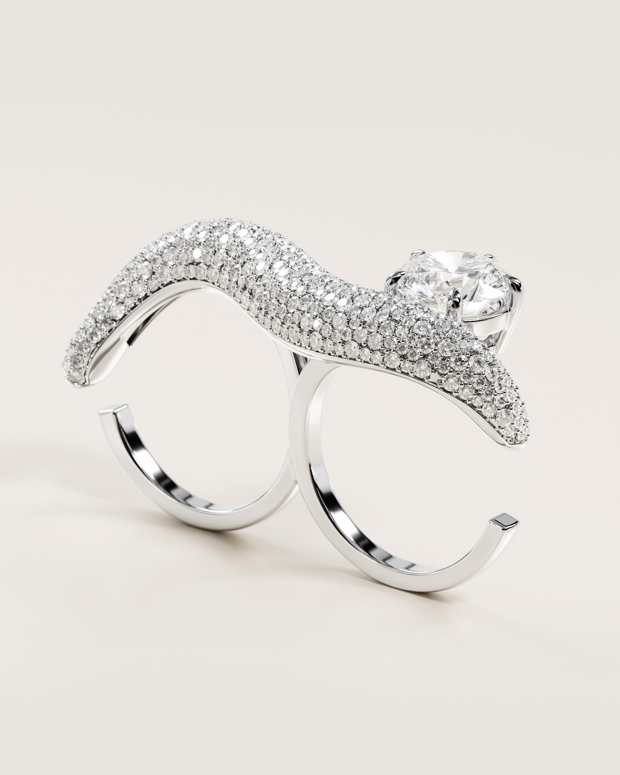 The Double Tidal Ring